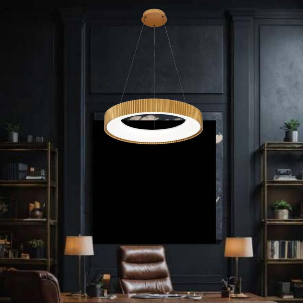 Beyond Lights - Ring Pendant Lamp