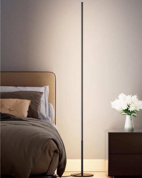 Beyond Lights - Minimalist Floor Lamp