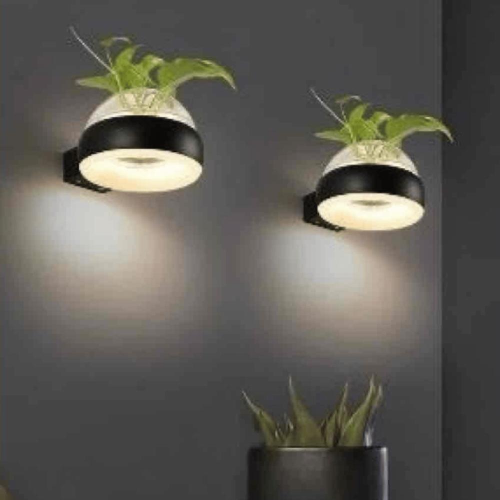 Beyond Lights - Axis Nova