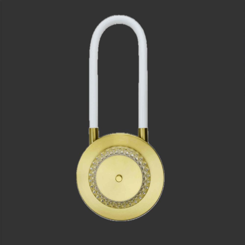 Beyond Lights - FluxPulse