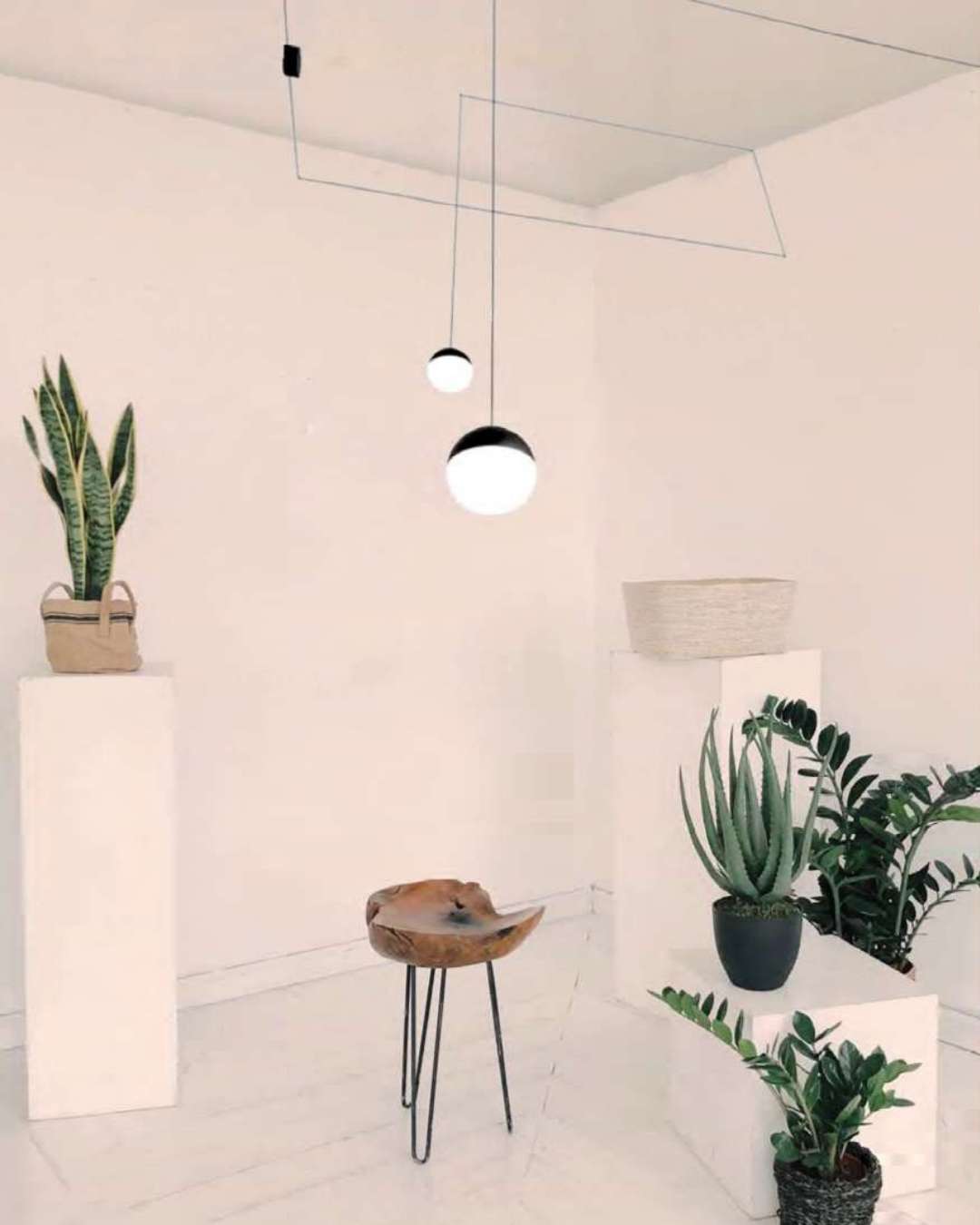 Beyond Lights - Globe Pendant Light