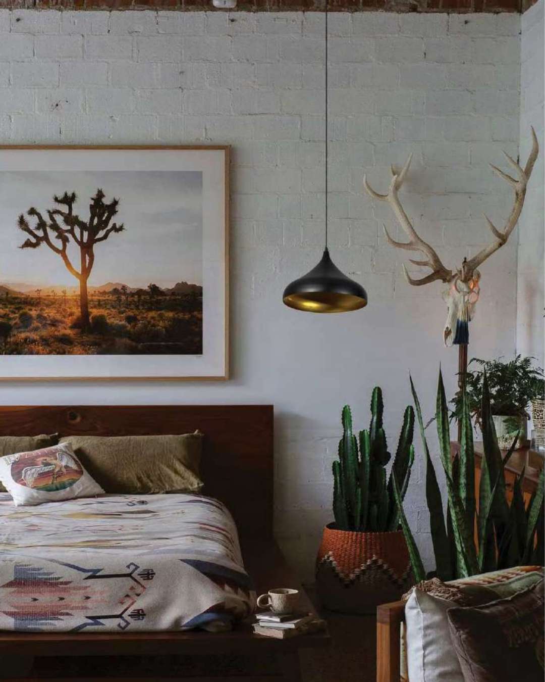 Beyond Lights - Dome Pendant Light