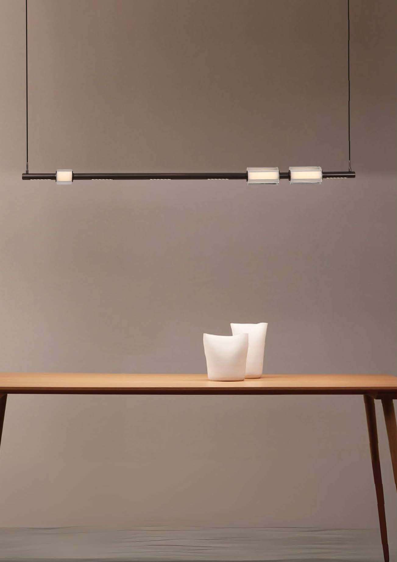 Beyond Lights - Linear Pendant Light