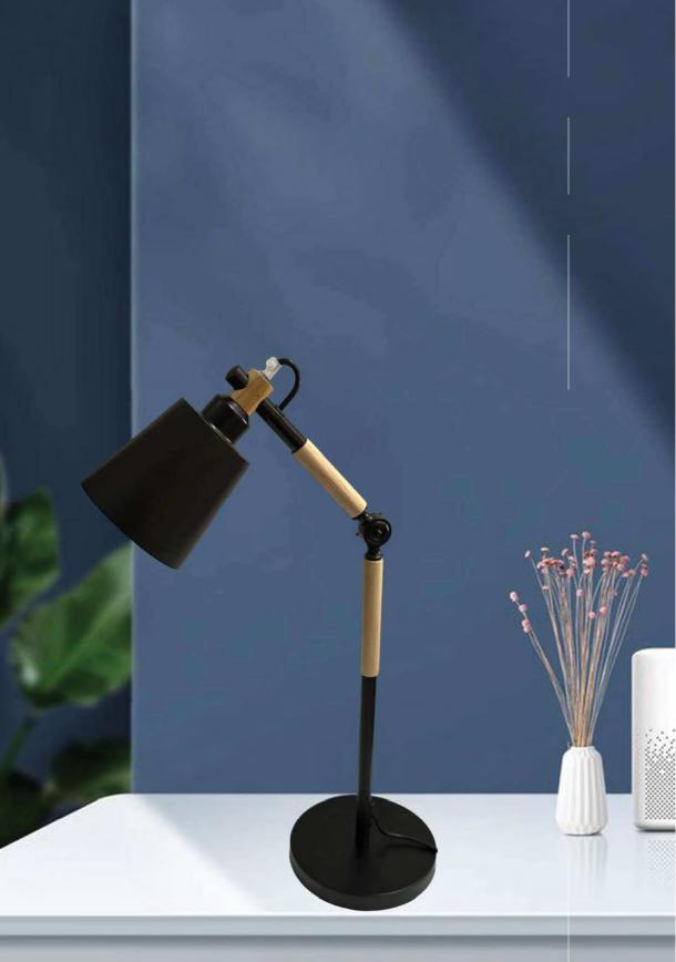 Beyond Lights - Wood Desk Lamp