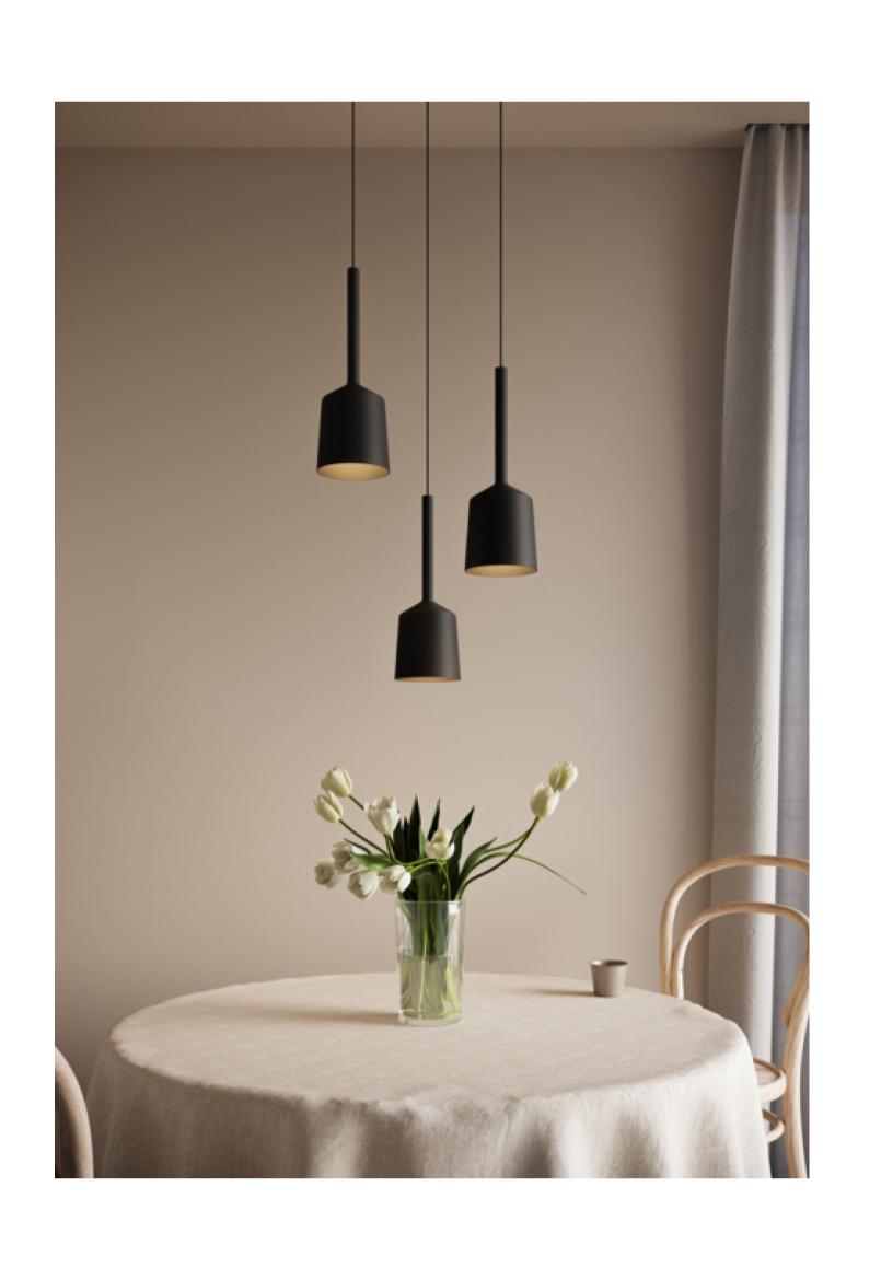 Beyond Lights - Black Pendant Light