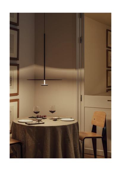 Beyond Lights - Linear Pendant Light