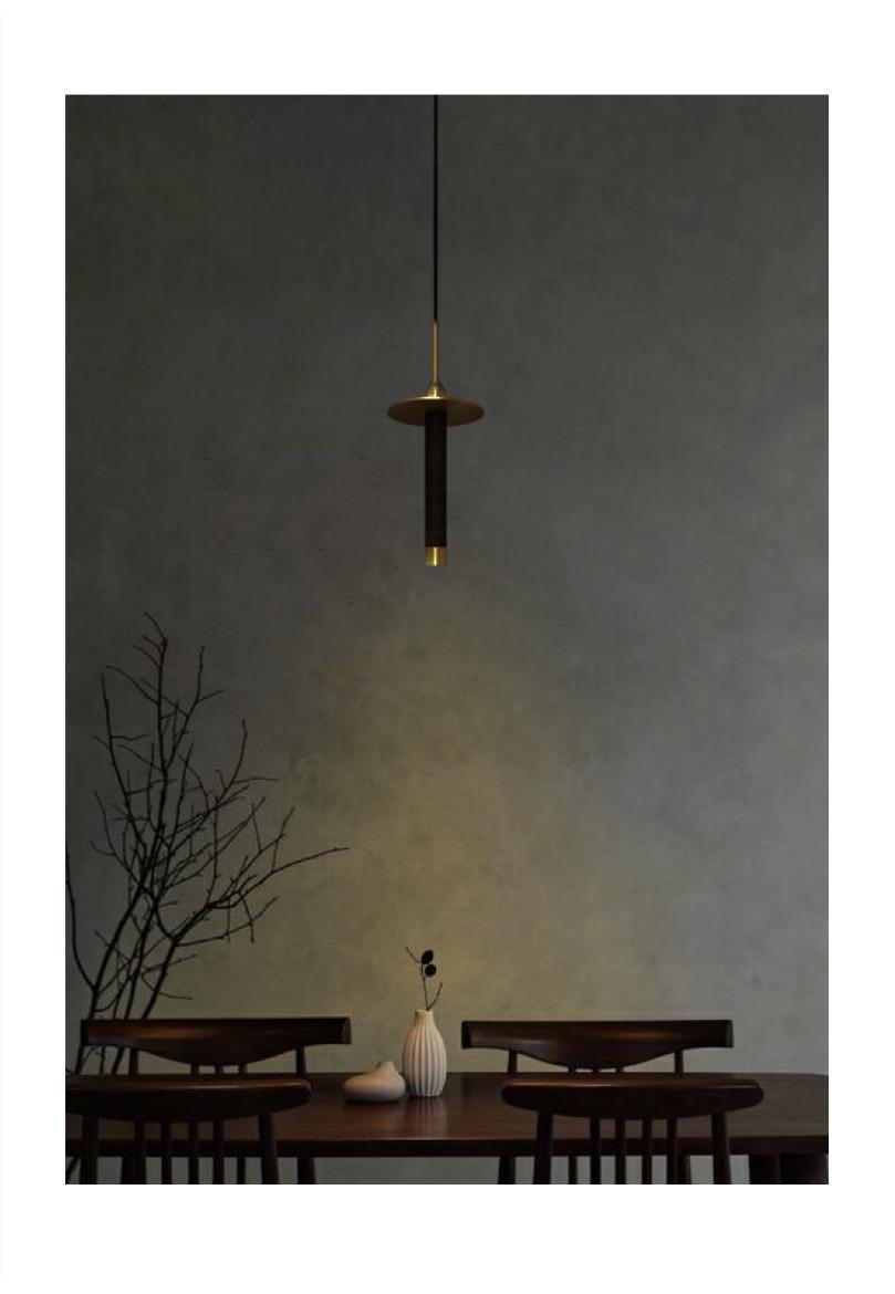 Beyond Lights - Brass Pendant Light