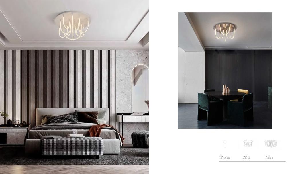 Beyond Lights - Modern Ceiling Light