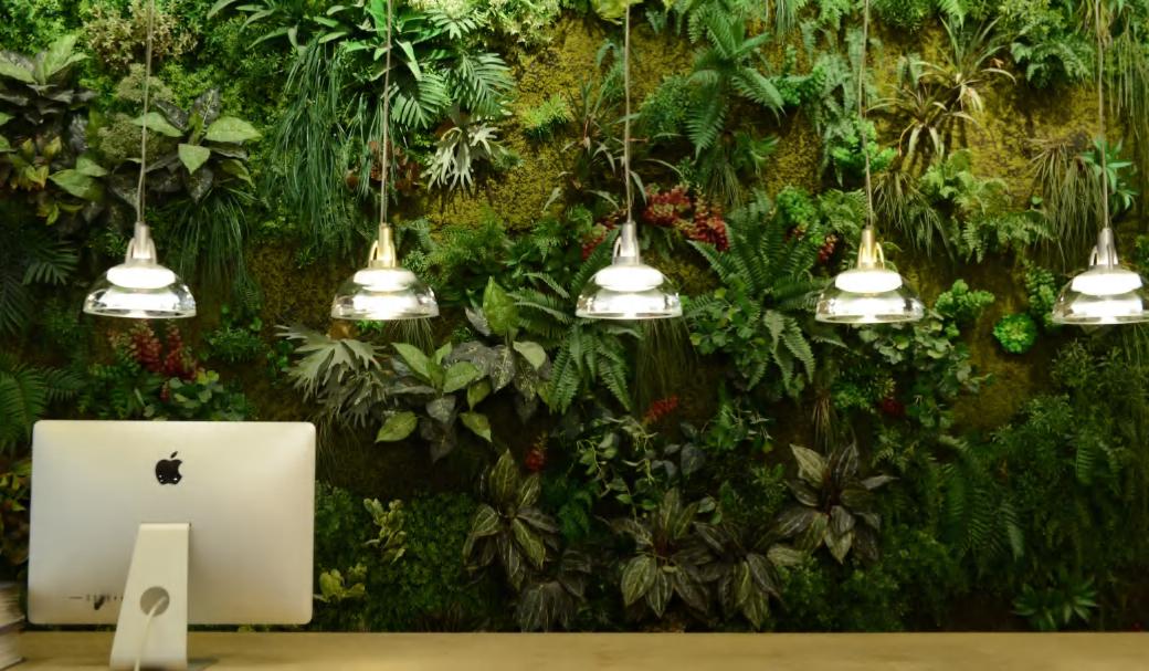 Beyond Lights - Pendant Ceiling Light