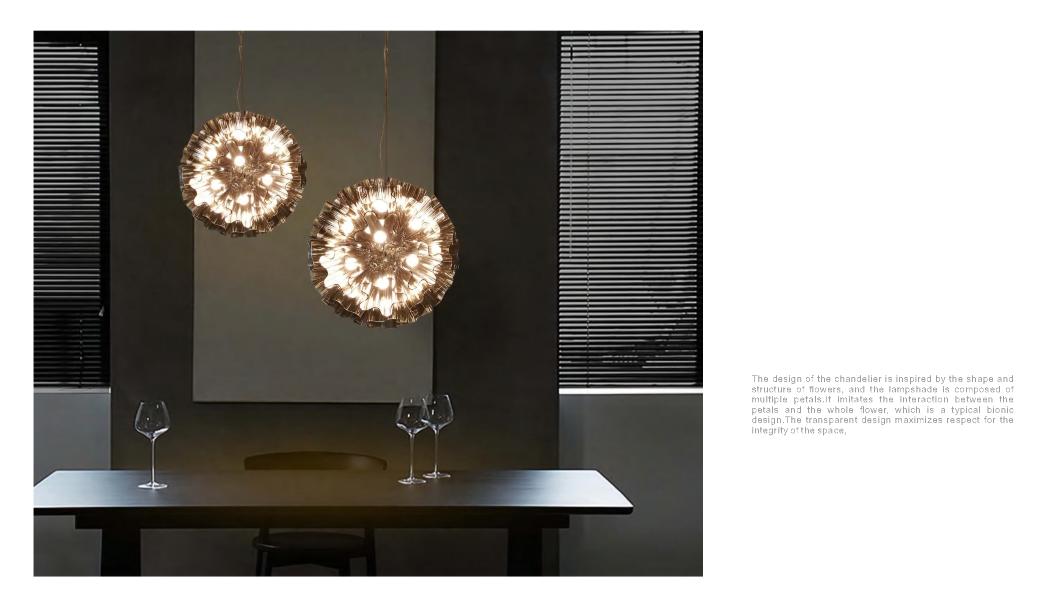 Beyond Lights - Flower Pendant Light