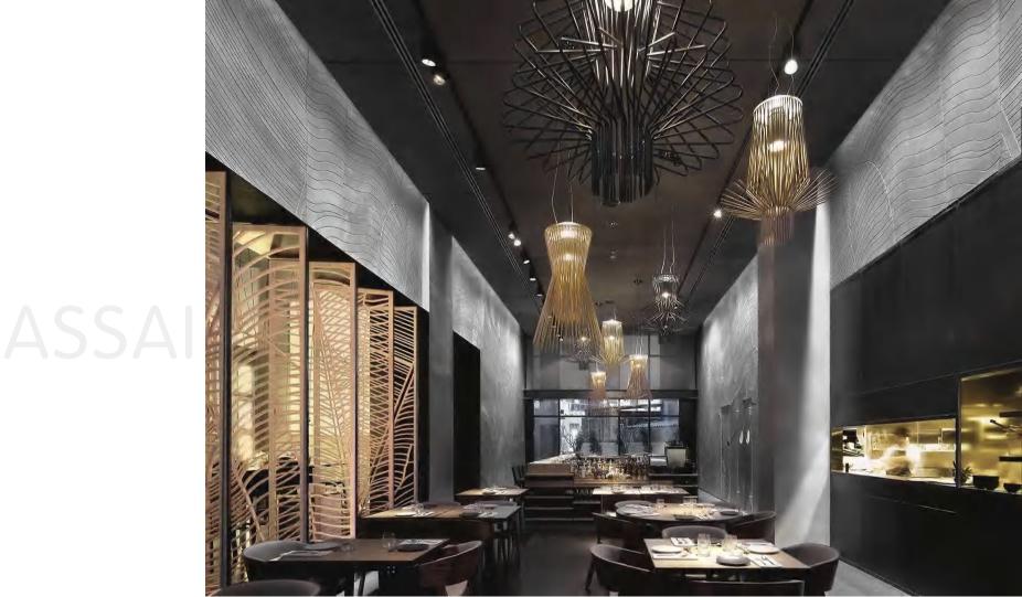 Beyond Lights - Pendant Ceiling Light