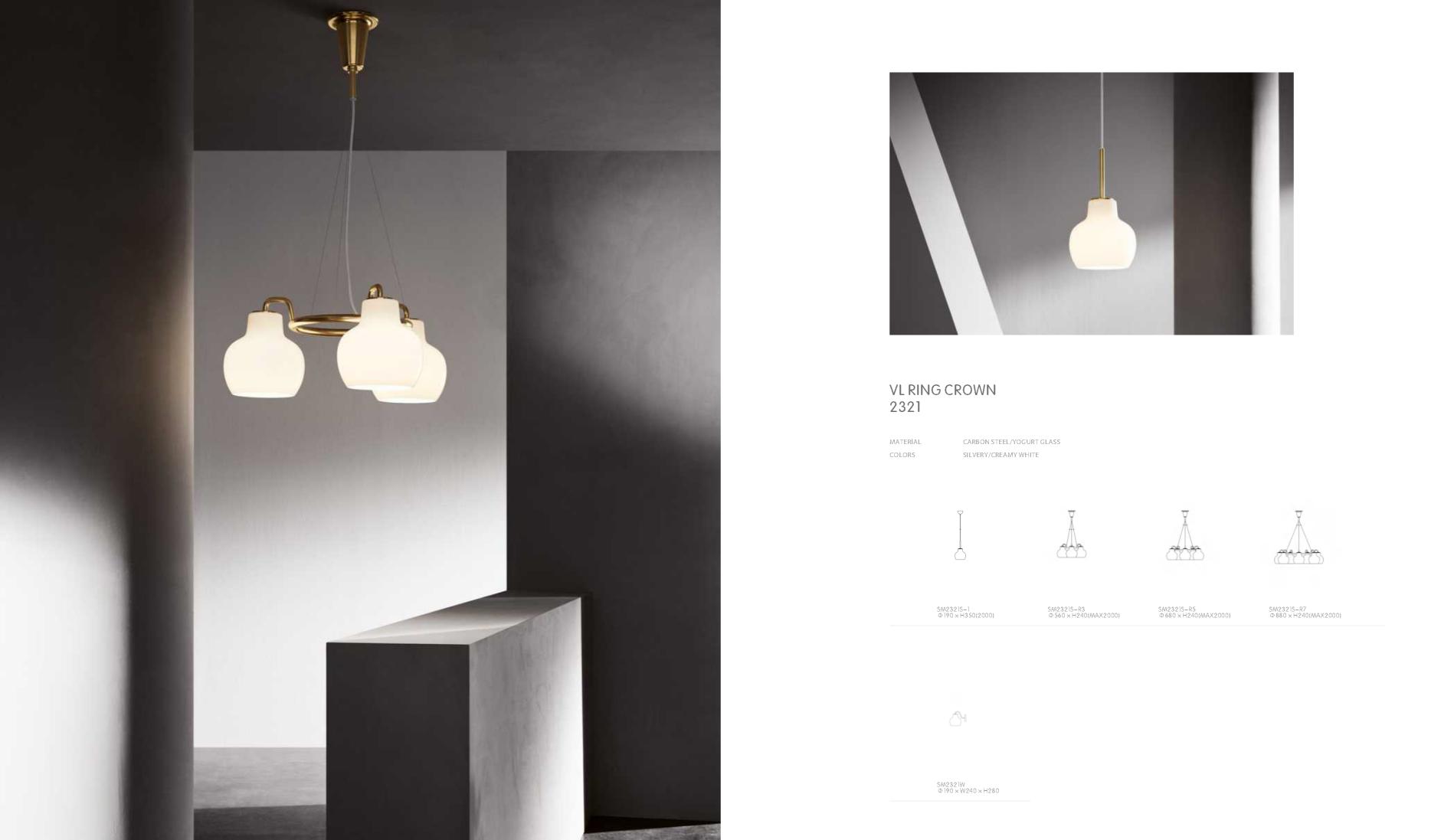 Beyond Lights - Ring Pendant Lamp