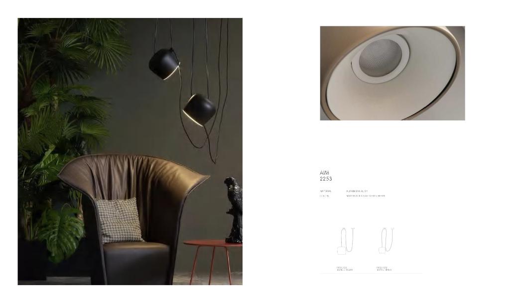 Beyond Lights - Aluminium Pendant Light