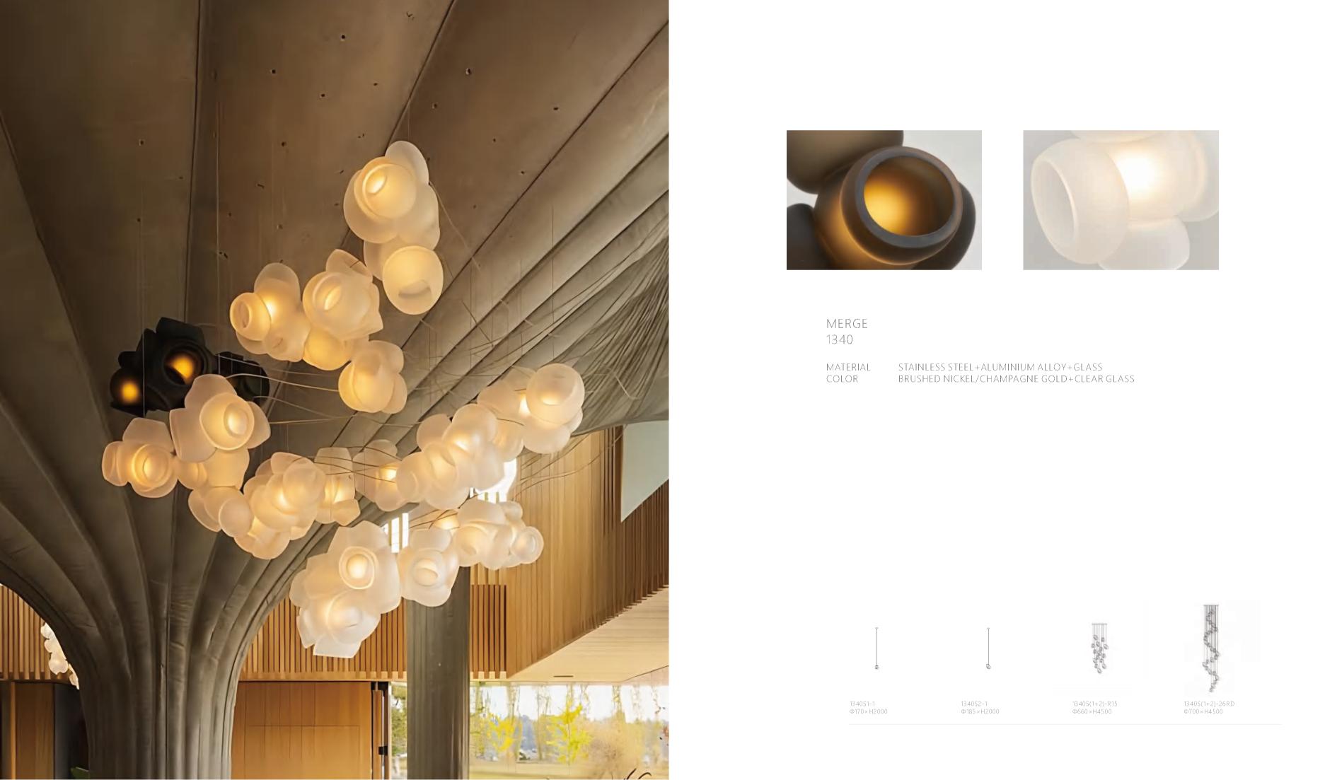 Beyond Lights - Clear Glass Chandelier