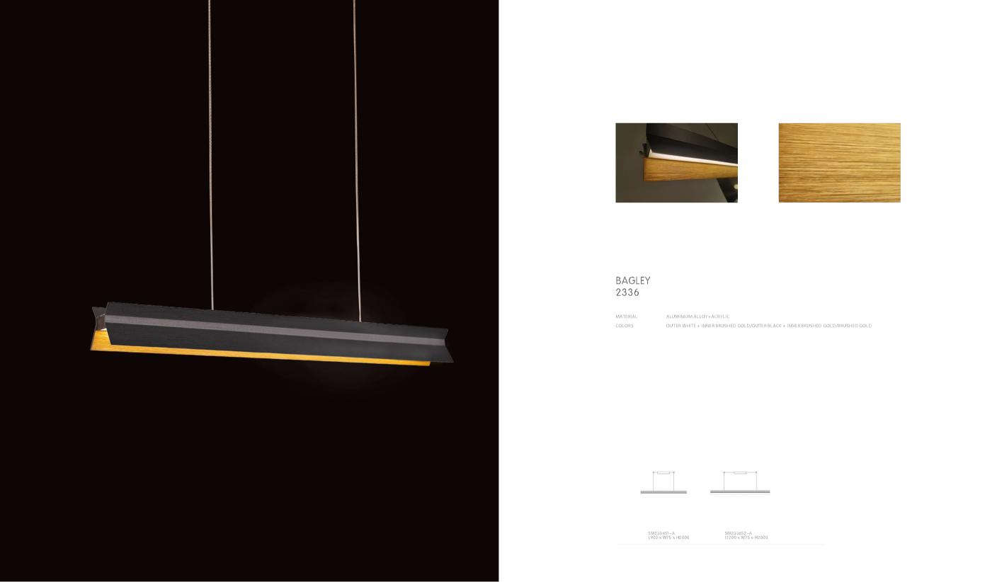 Beyond Lights - Linear Pendant Lamp