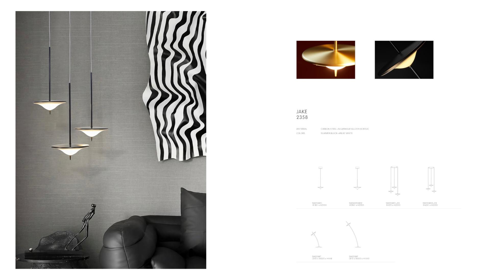 Beyond Lights - Plate Pendant Lamp