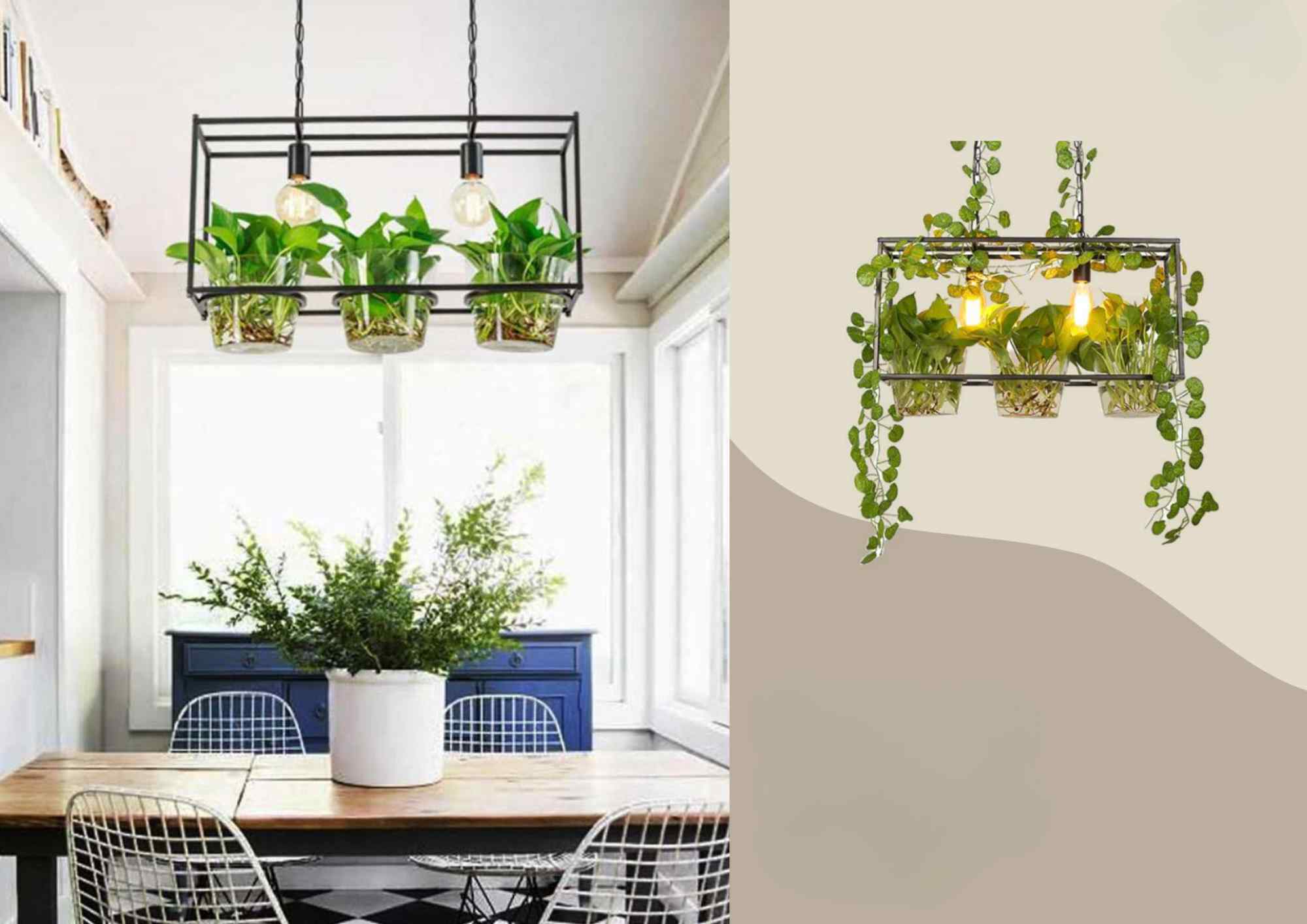 Beyond Lights - Plant Chandelier Light