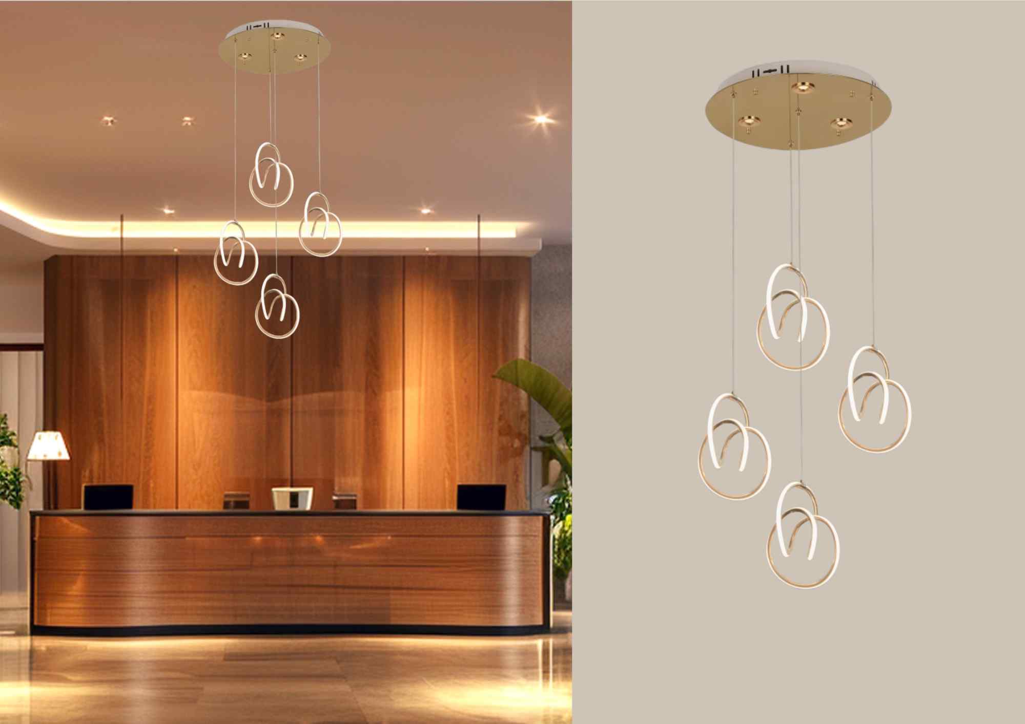 Beyond Lights - Ring Chandelier Light