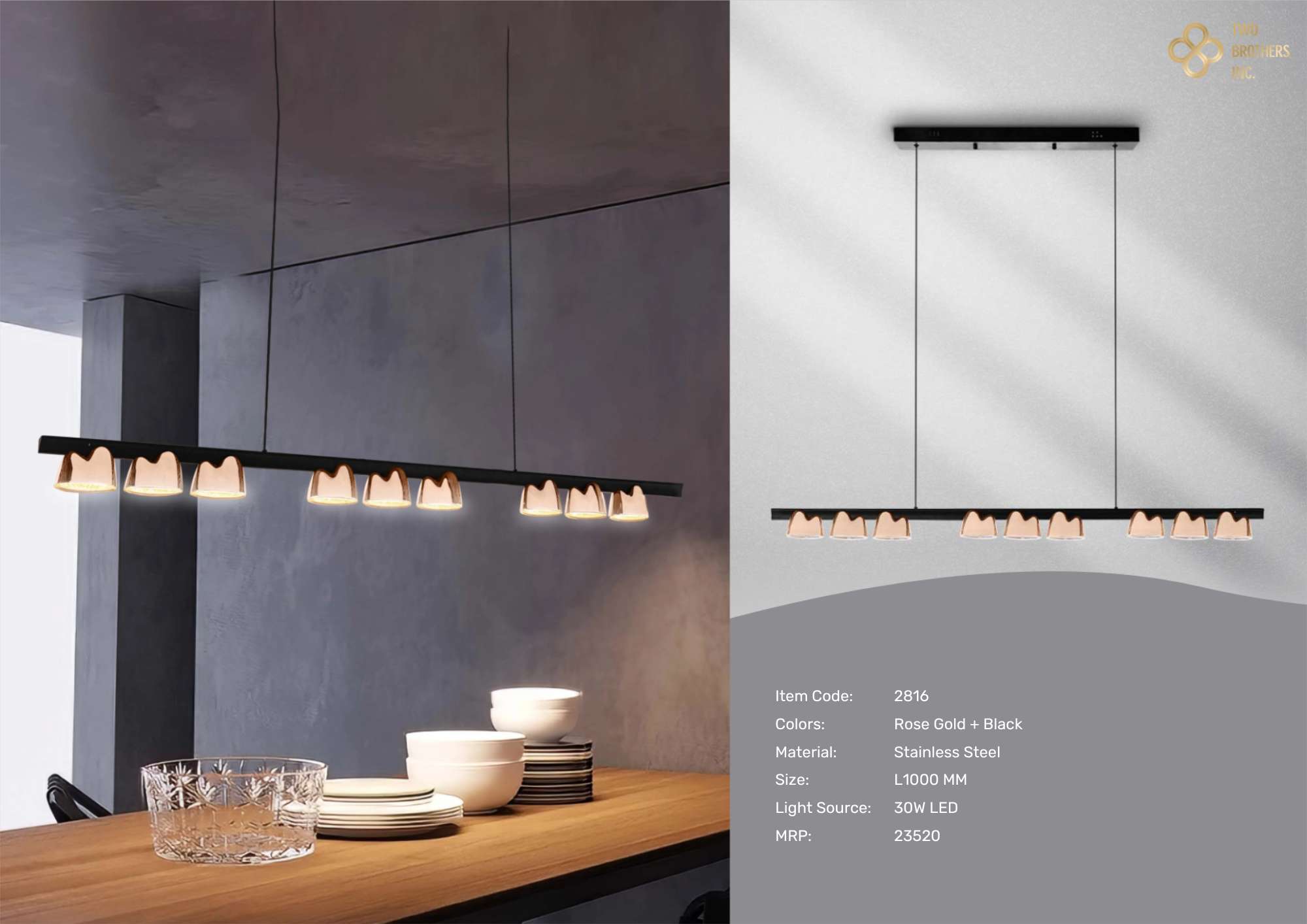 Beyond Lights - Linear Pendant Light