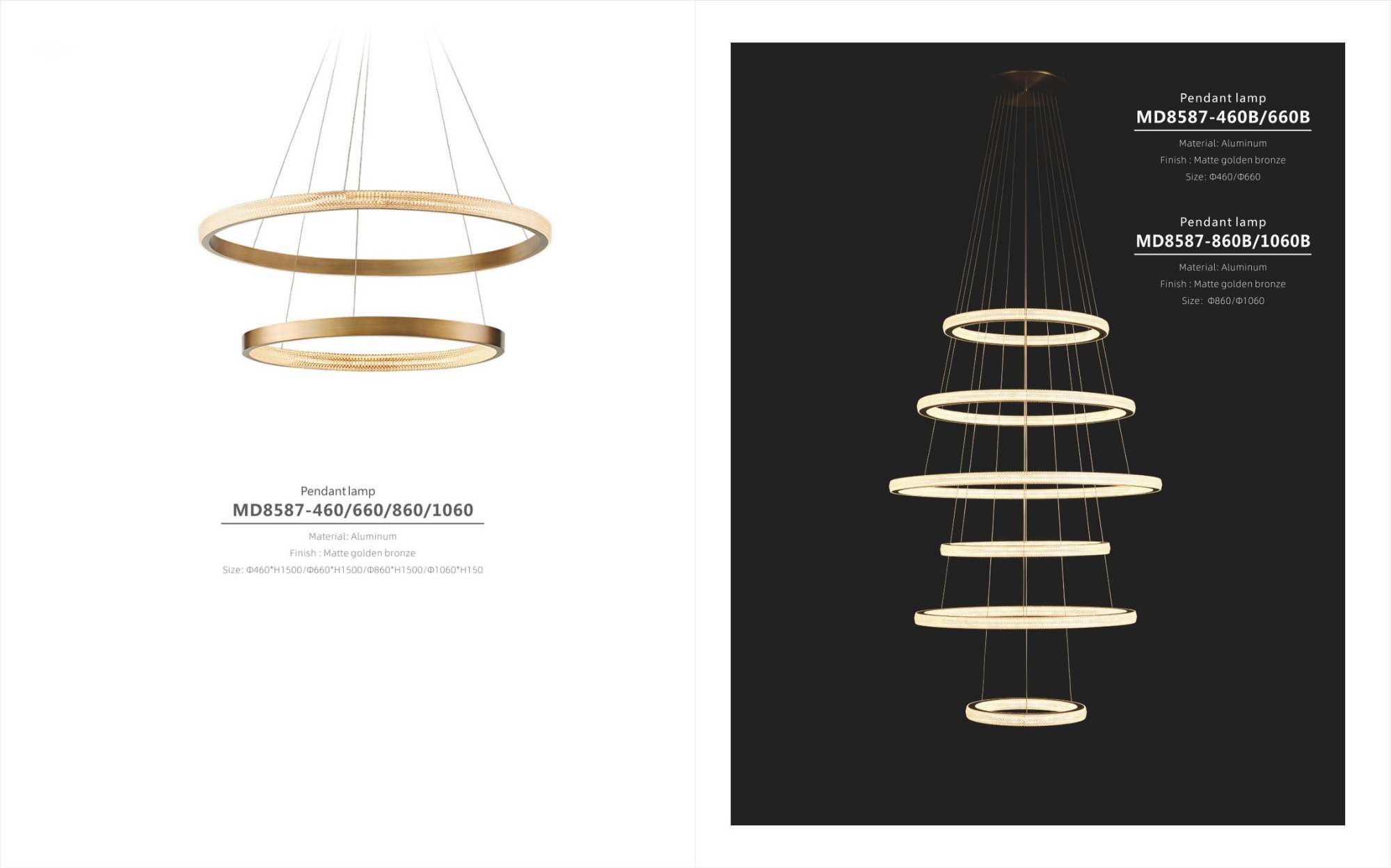 Beyond Lights - Ring Pendant Lamp