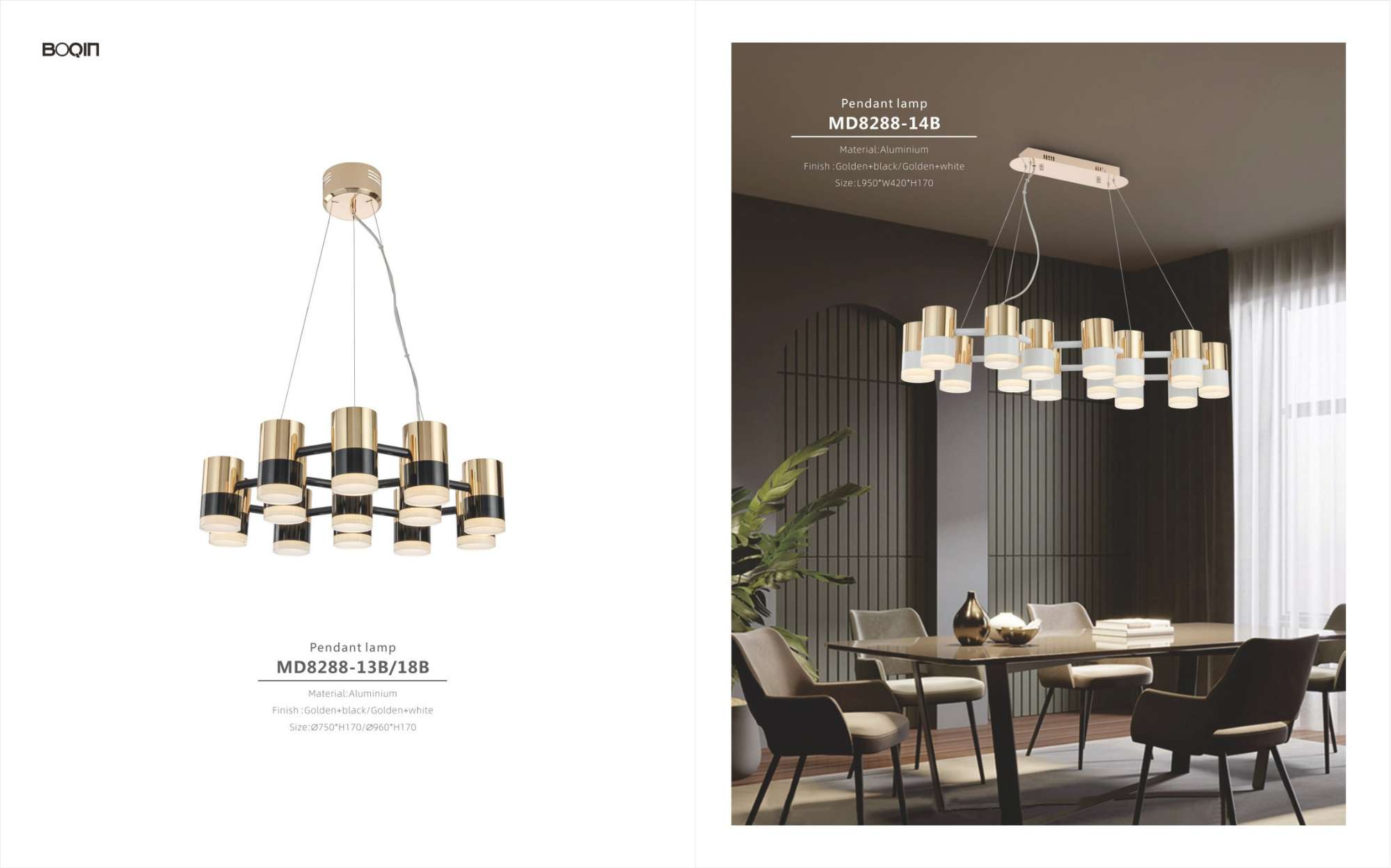 Beyond Lights - Pendant Ceiling Light