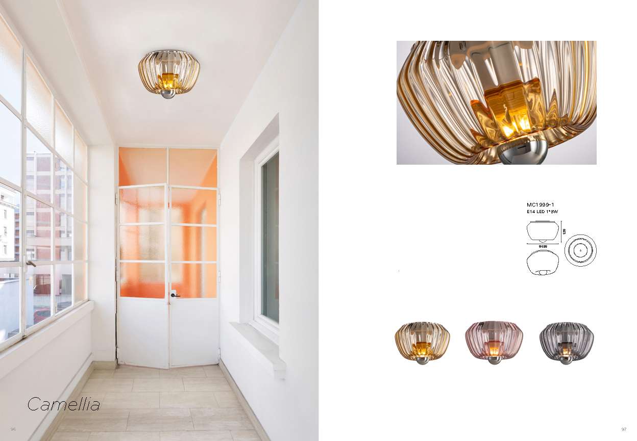 Beyond Lights - Glass Ceiling Light