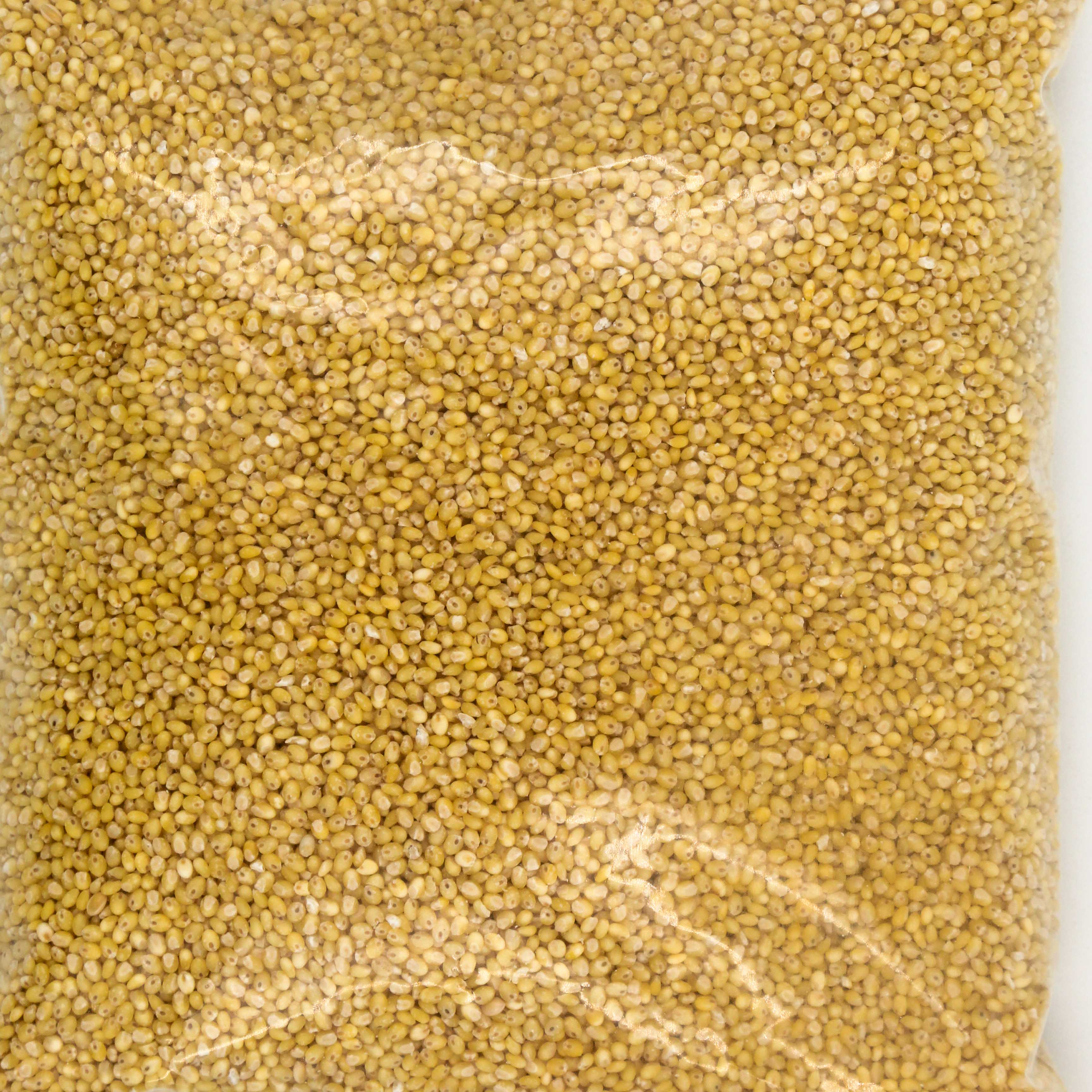 PITAMBARI POWDER 150G -