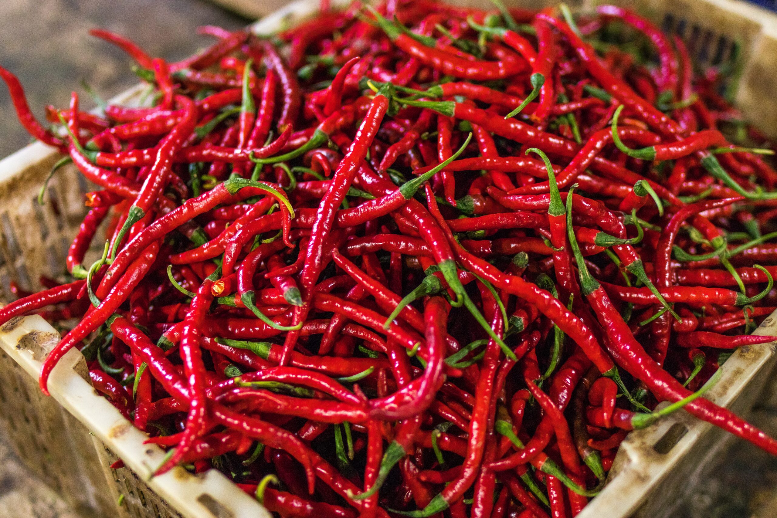 Big Bowl - Wholesale Red Chillies