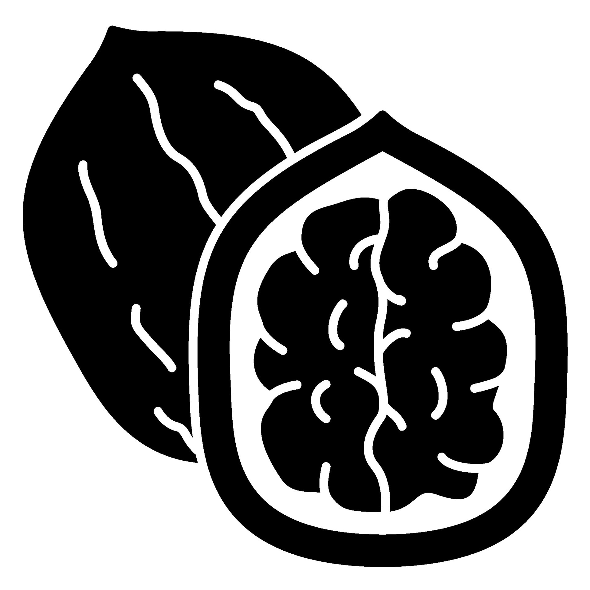 Walnuts