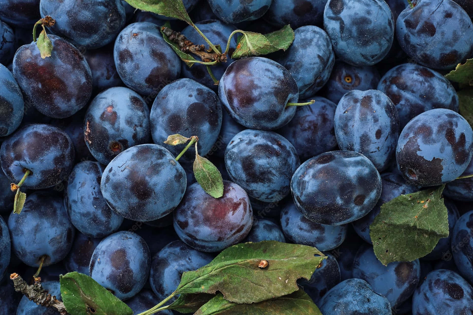 Dry Fruit Bazar - Black Currants