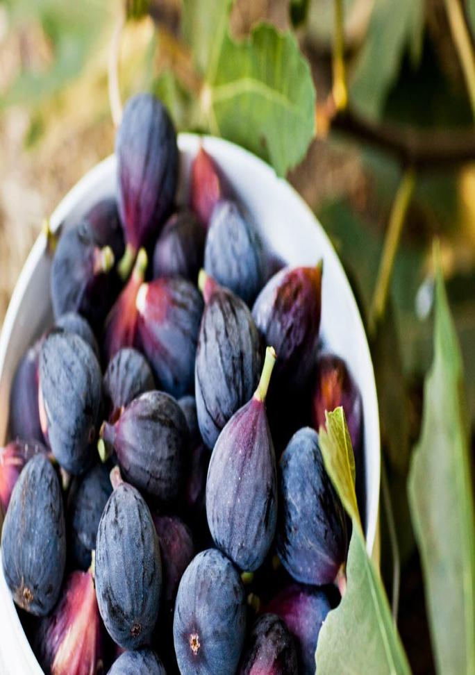 Dry Fruit Bazar - Pistachios