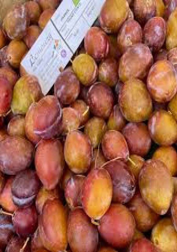 Dry Fruit Bazar - Dried Figs
