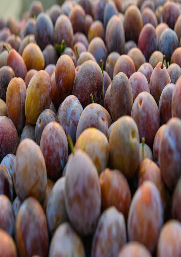 Dry Fruit Bazar - Seedless Dates