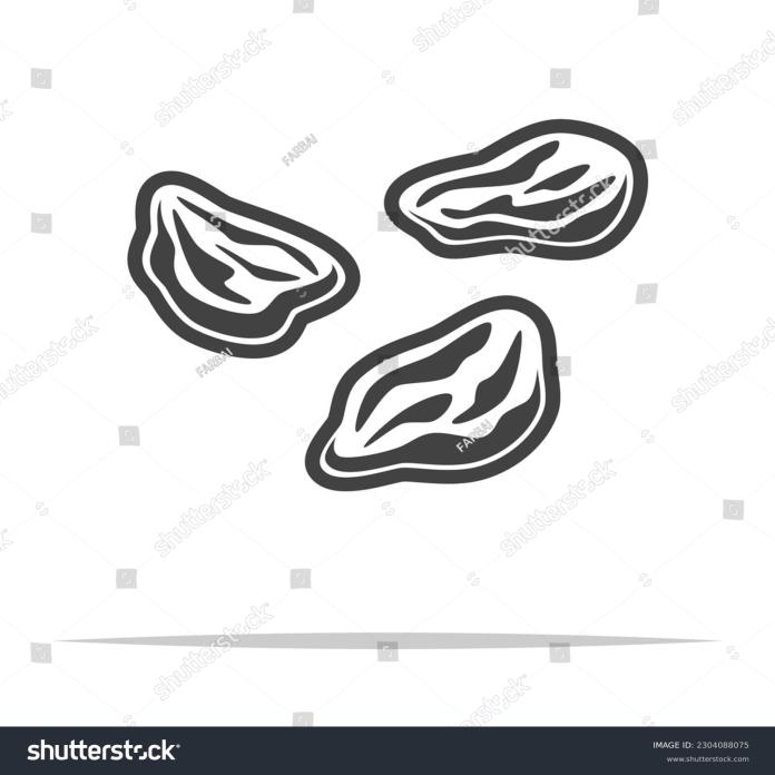 Dry Fruit Bazar - Testing