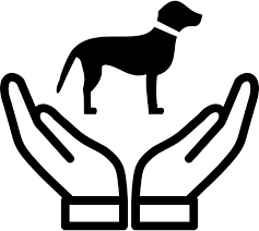 Pet care