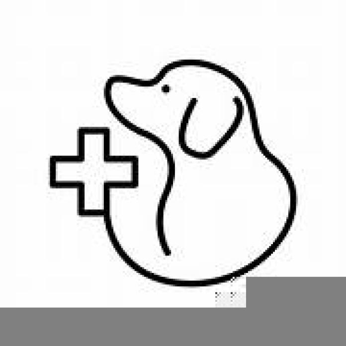 Herbal Pet Care