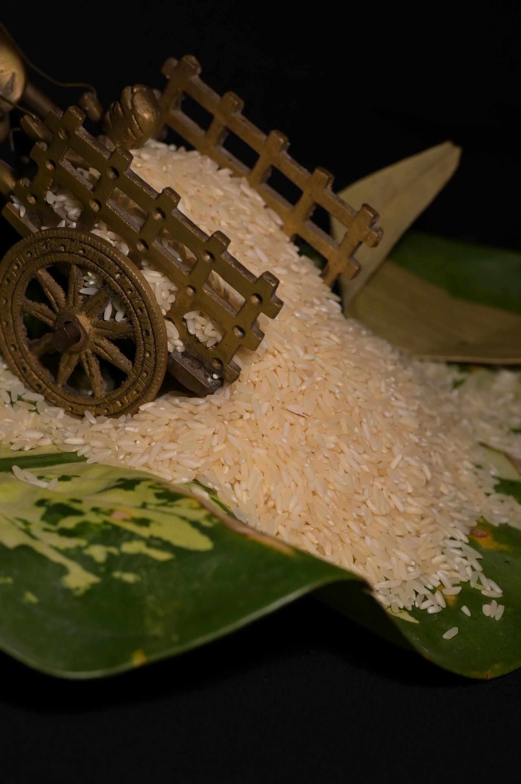 Groceries and Staples