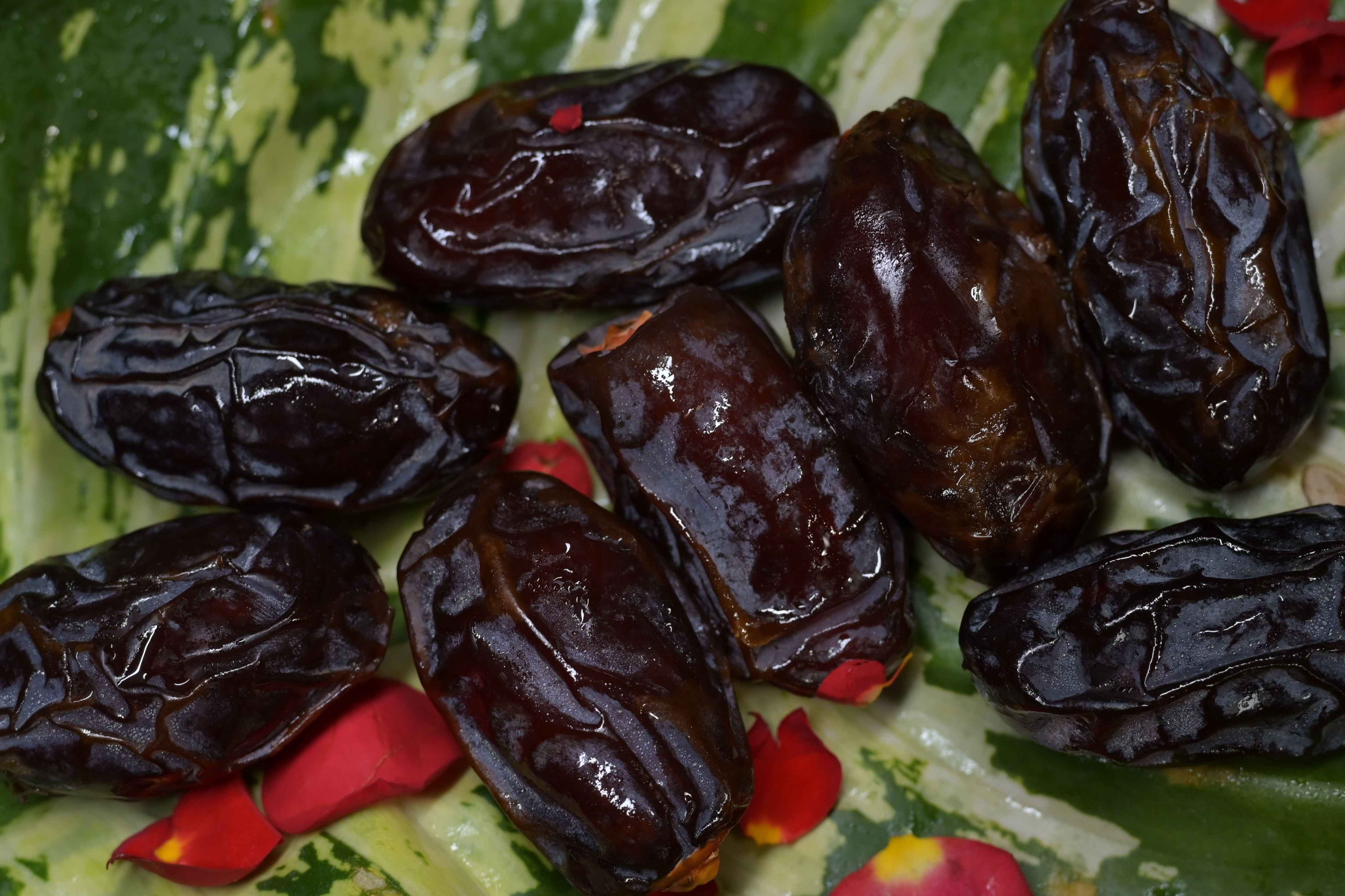 Premium Dry Dates