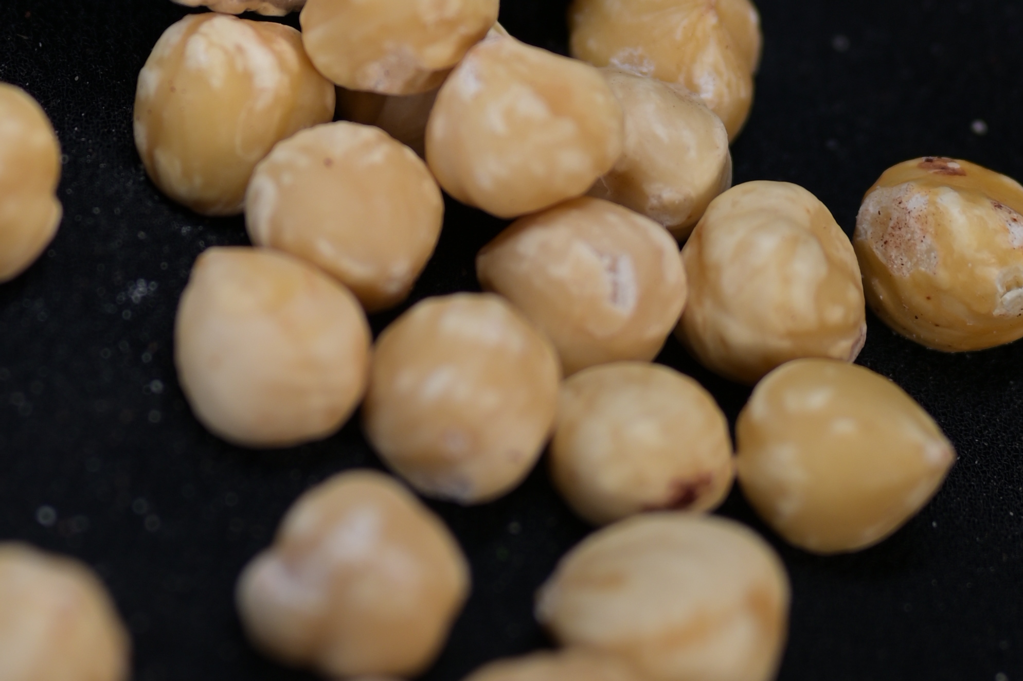 Peeled Hazelnut Nuts