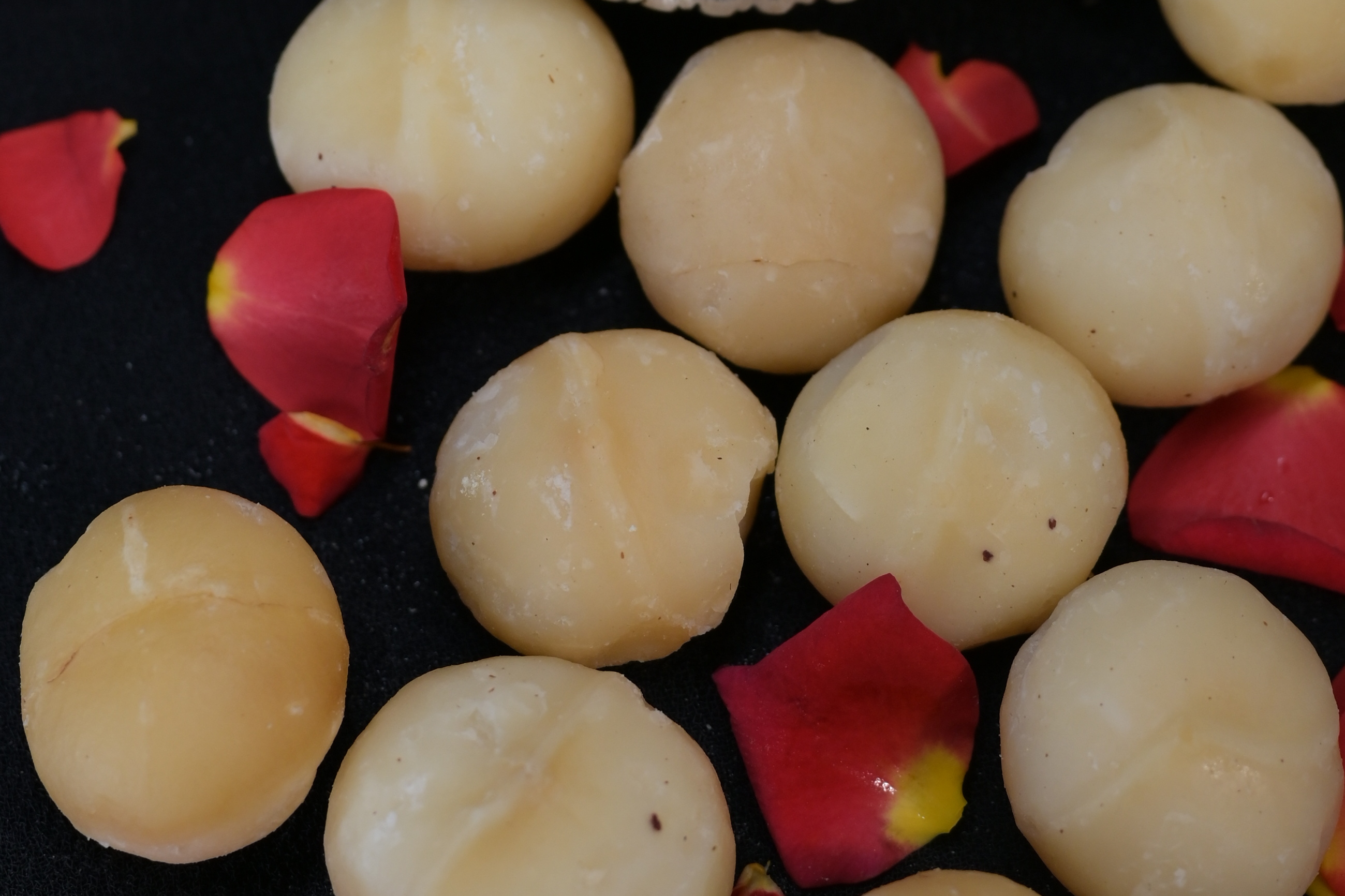 Macadamia Nuts