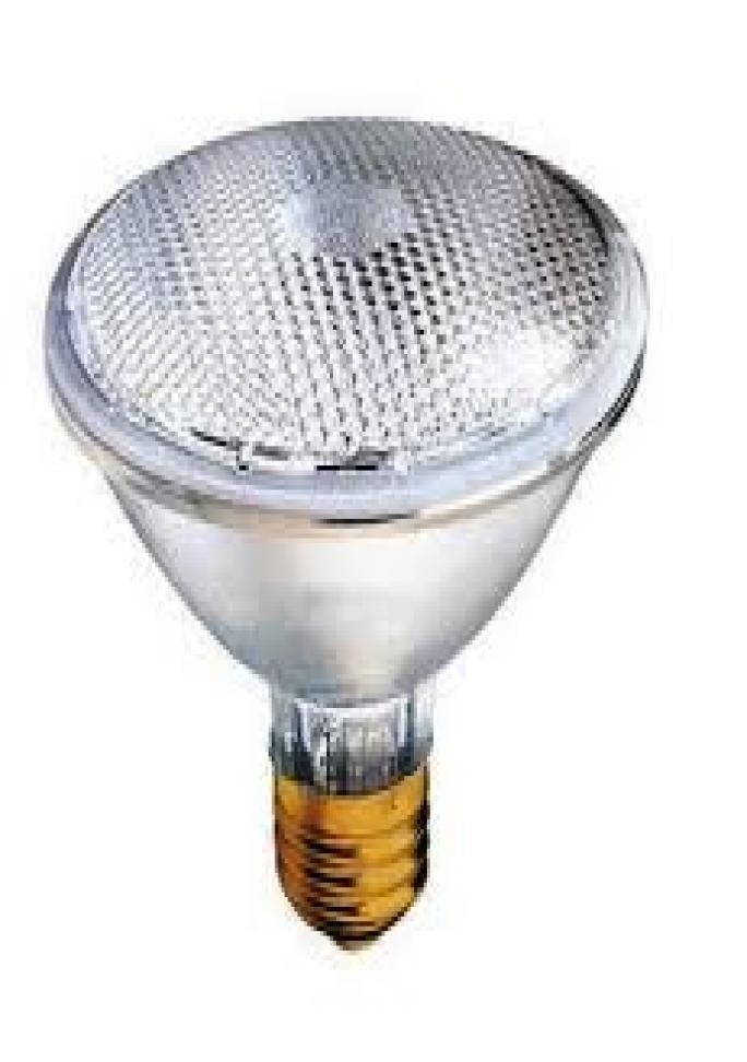 Halogen lamp light