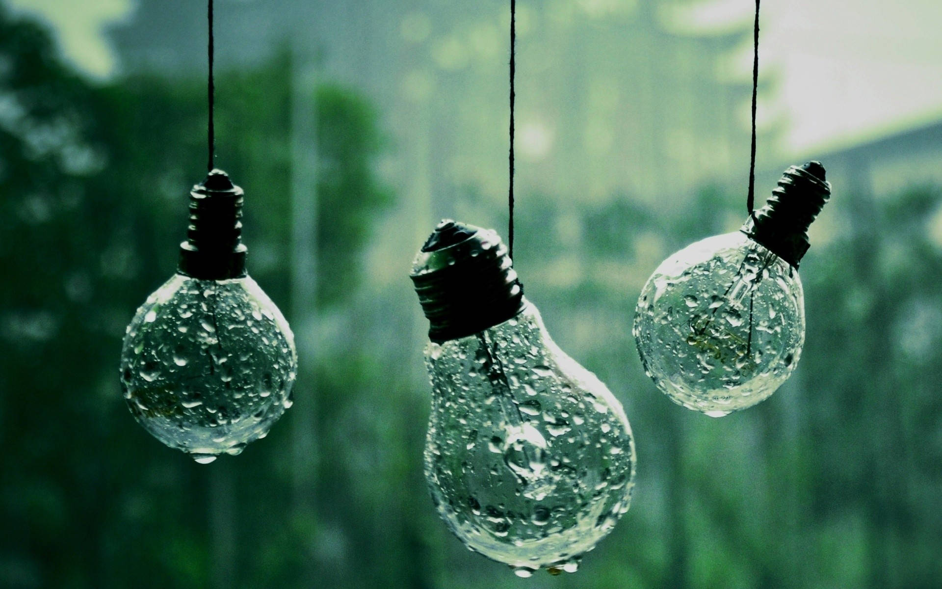 Lighting World - Light Bulb