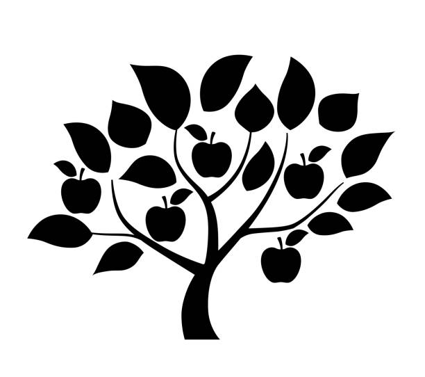Fruit-bearing plants