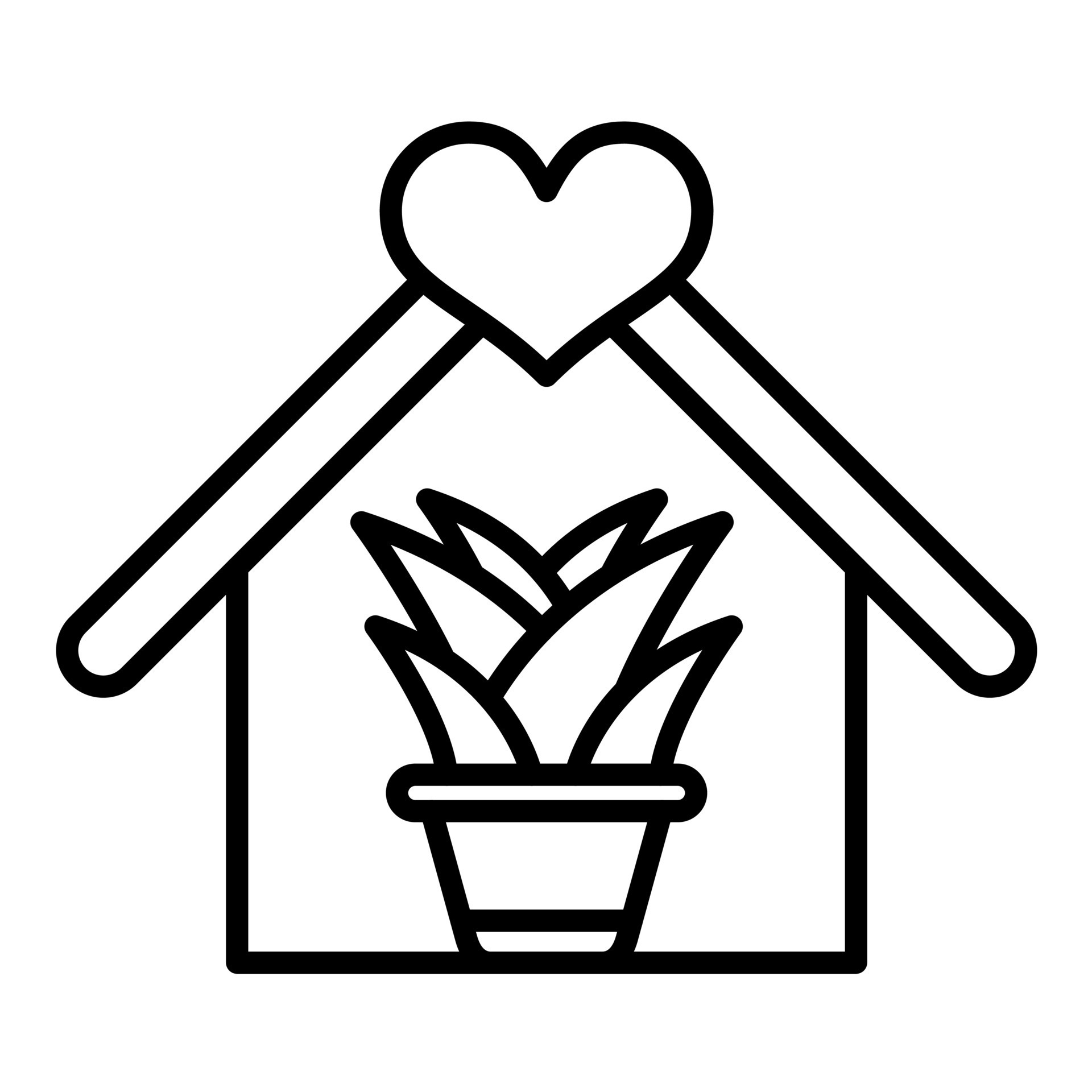 Indoor plants