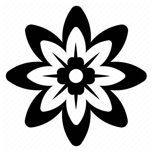 Perennial flowers plants