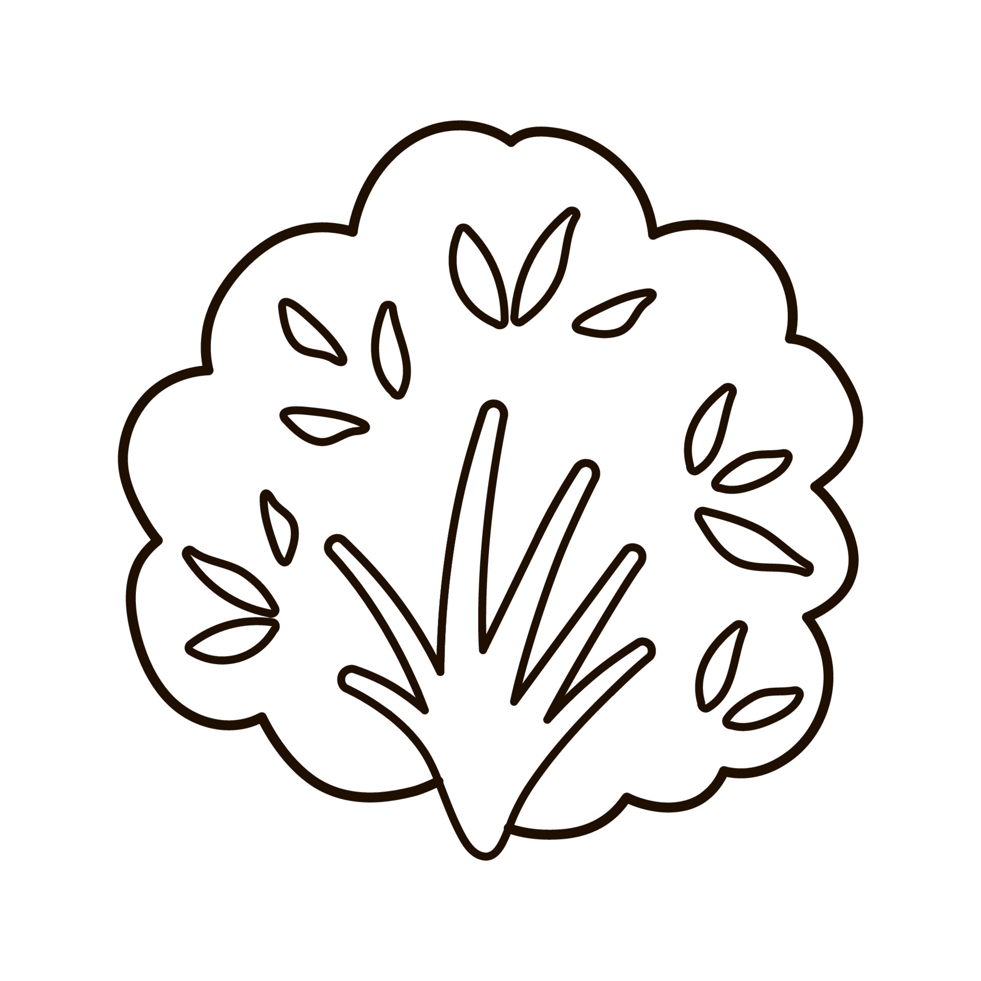 Shrubs and bushes Plants
