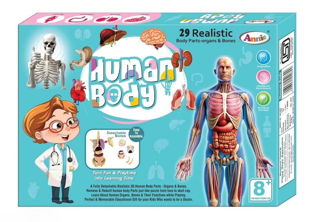 ANNIE Human Anatomy Model Kit for Kids – 3D Educational Science Toy with 29 Removable Organs & Body Parts | STEM Learning Kit for Ages 8+