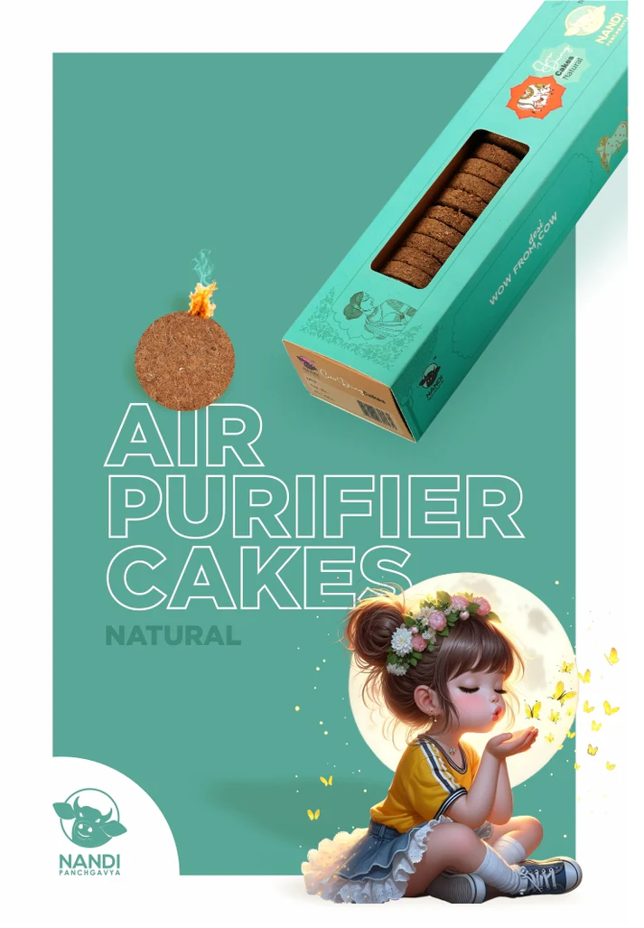 Natural Air Purifier Cake