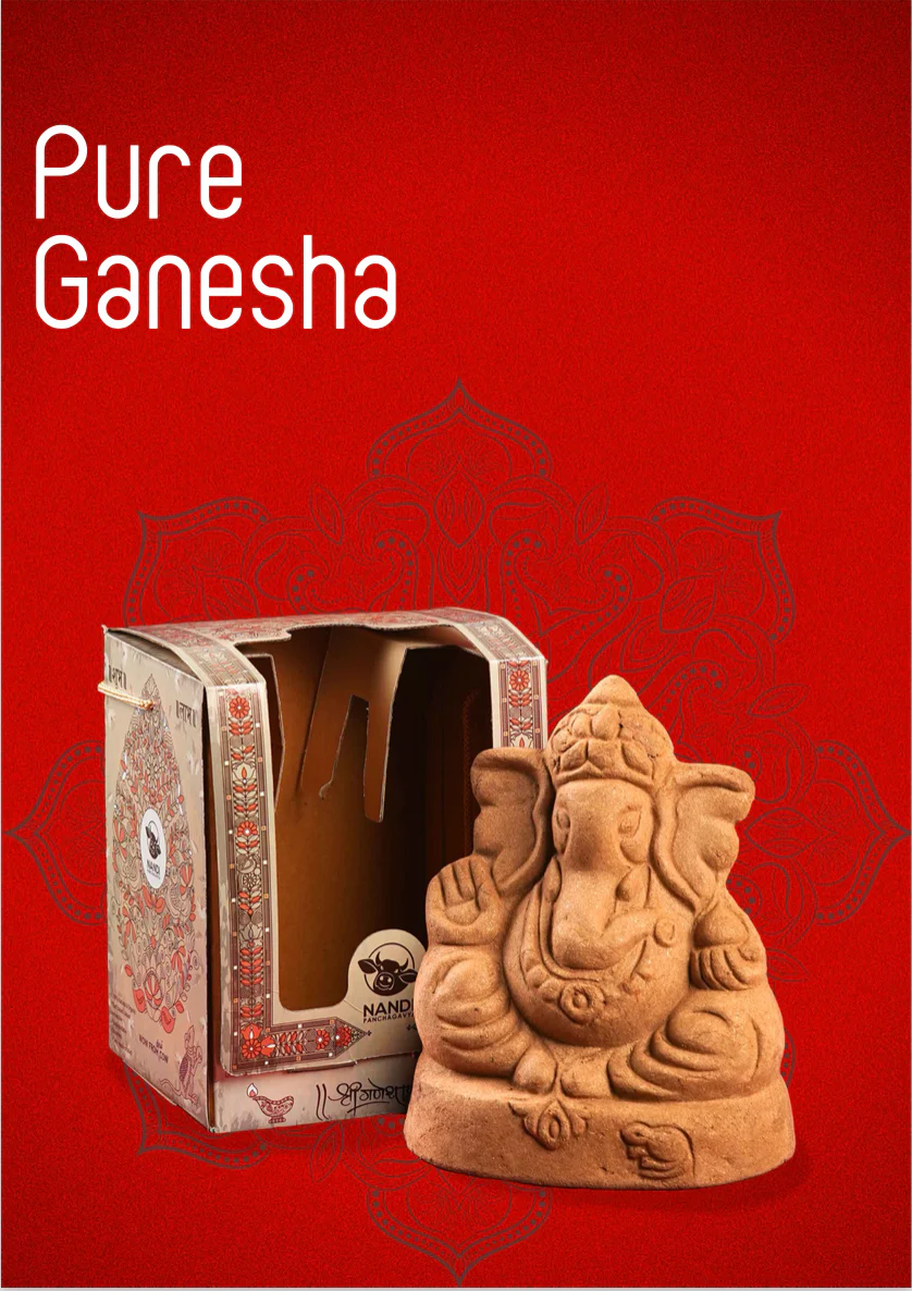 Wow Nandi - Pure Ganesha