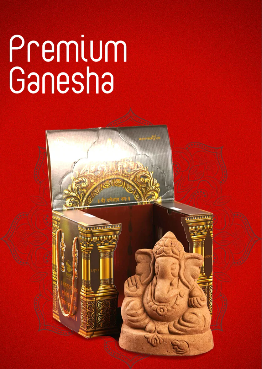 Wow Nandi - premium ganesha